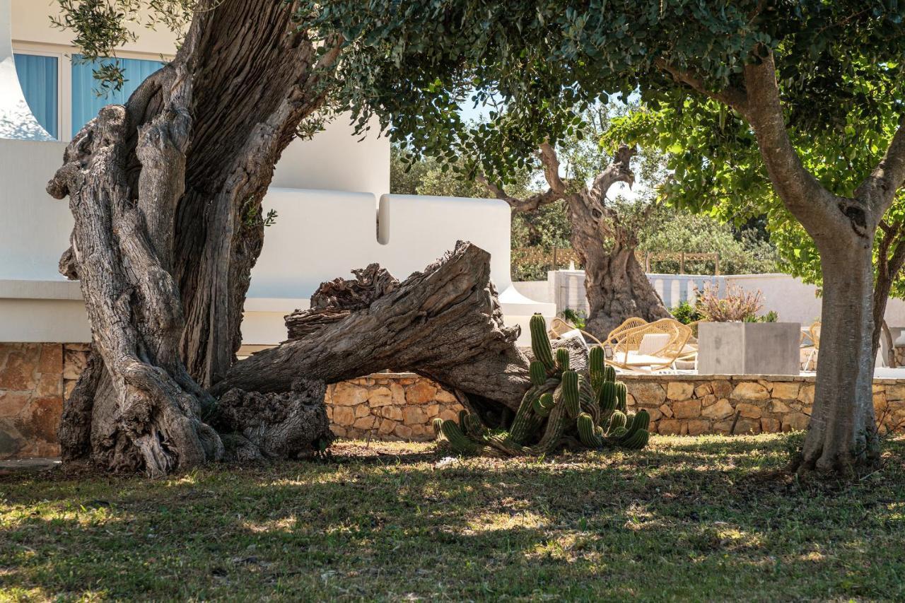 Villa Al Mare Sea, Relax & Wellness Monopoli Kültér fotó